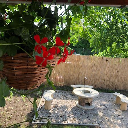 Mormota Vendeghaz Διαμέρισμα Mezőkövesd Εξωτερικό φωτογραφία
