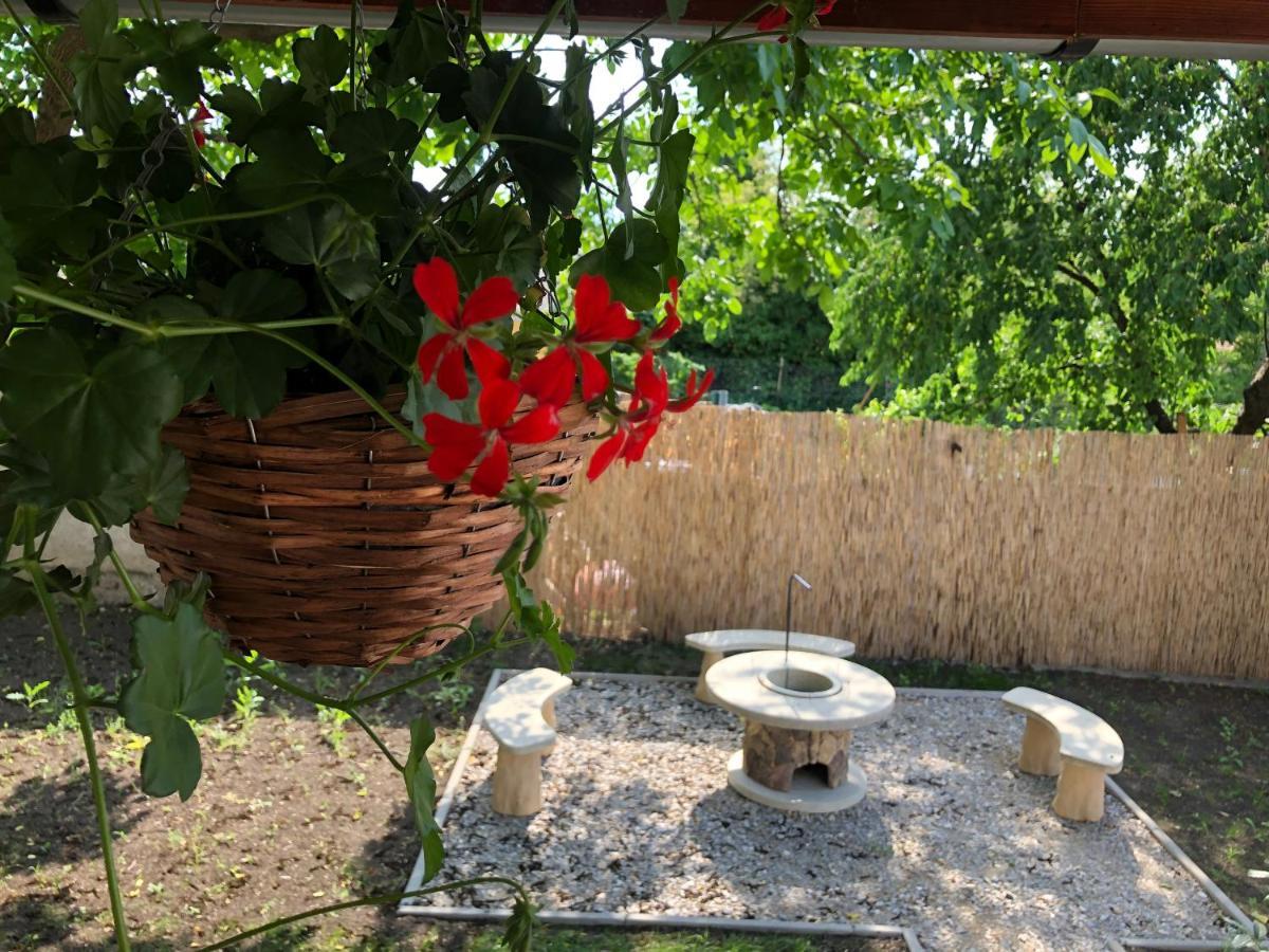 Mormota Vendeghaz Διαμέρισμα Mezőkövesd Εξωτερικό φωτογραφία